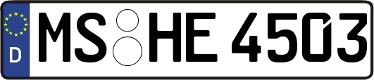 MS-HE4503