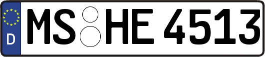 MS-HE4513