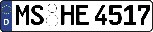 MS-HE4517