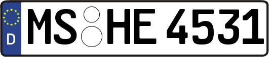 MS-HE4531