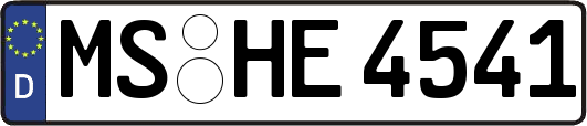 MS-HE4541