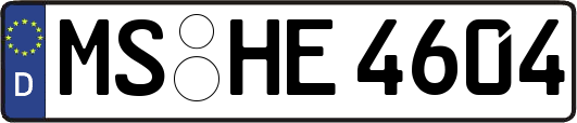 MS-HE4604