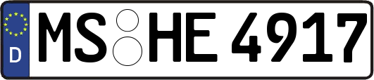 MS-HE4917