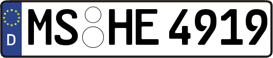 MS-HE4919