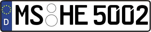 MS-HE5002