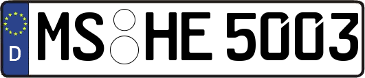 MS-HE5003