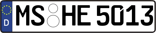 MS-HE5013