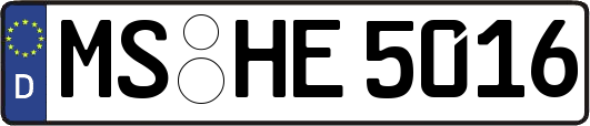 MS-HE5016
