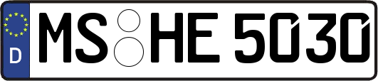 MS-HE5030