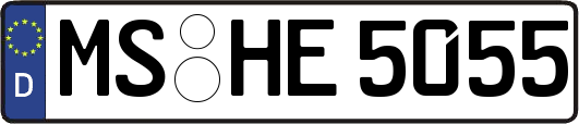 MS-HE5055