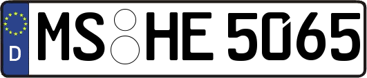 MS-HE5065