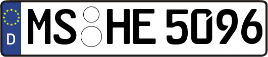 MS-HE5096