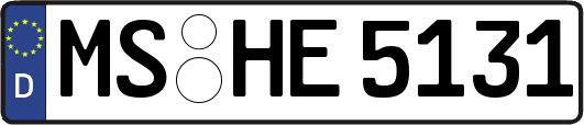 MS-HE5131