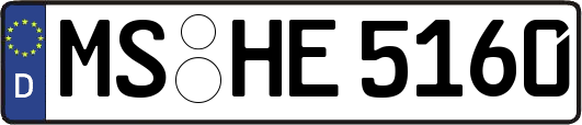 MS-HE5160