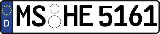 MS-HE5161