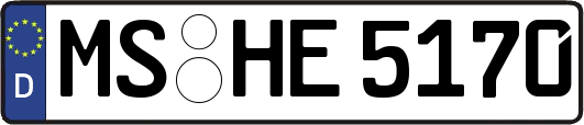 MS-HE5170