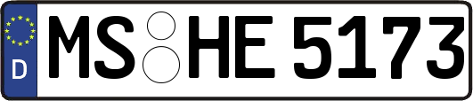 MS-HE5173
