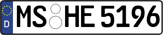 MS-HE5196