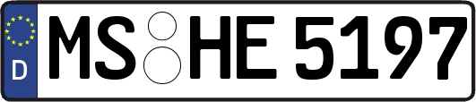 MS-HE5197