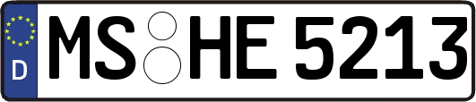 MS-HE5213