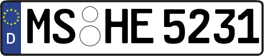 MS-HE5231
