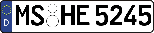 MS-HE5245