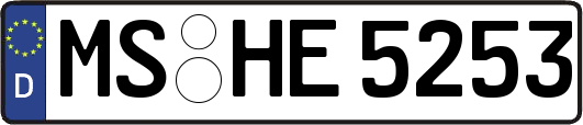 MS-HE5253
