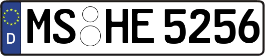MS-HE5256