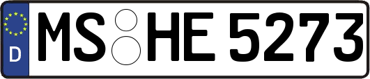 MS-HE5273