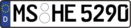MS-HE5290