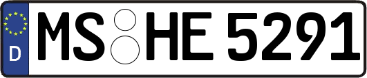 MS-HE5291