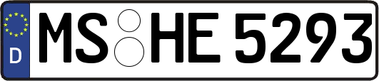 MS-HE5293