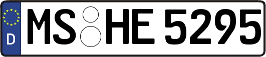 MS-HE5295