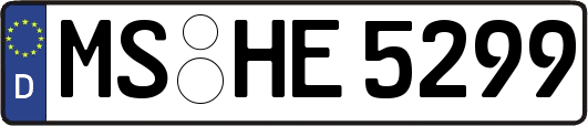 MS-HE5299