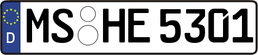 MS-HE5301