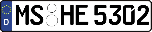 MS-HE5302