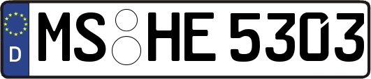 MS-HE5303