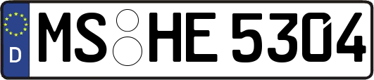MS-HE5304