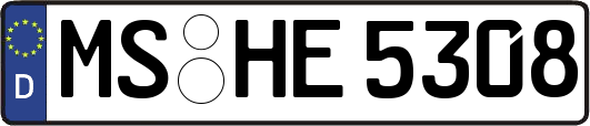 MS-HE5308