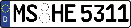 MS-HE5311