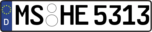 MS-HE5313