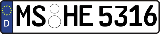 MS-HE5316
