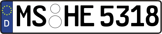 MS-HE5318