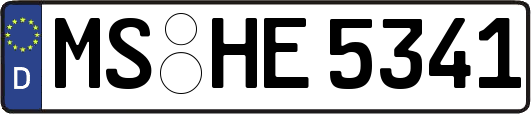 MS-HE5341