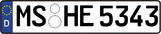 MS-HE5343