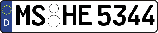 MS-HE5344
