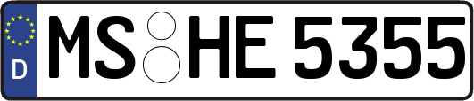MS-HE5355