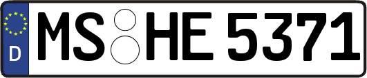 MS-HE5371