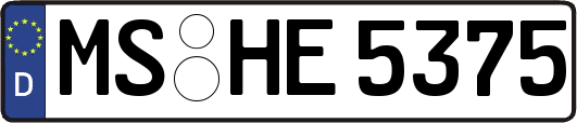 MS-HE5375