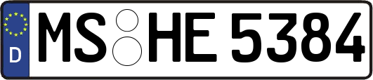 MS-HE5384